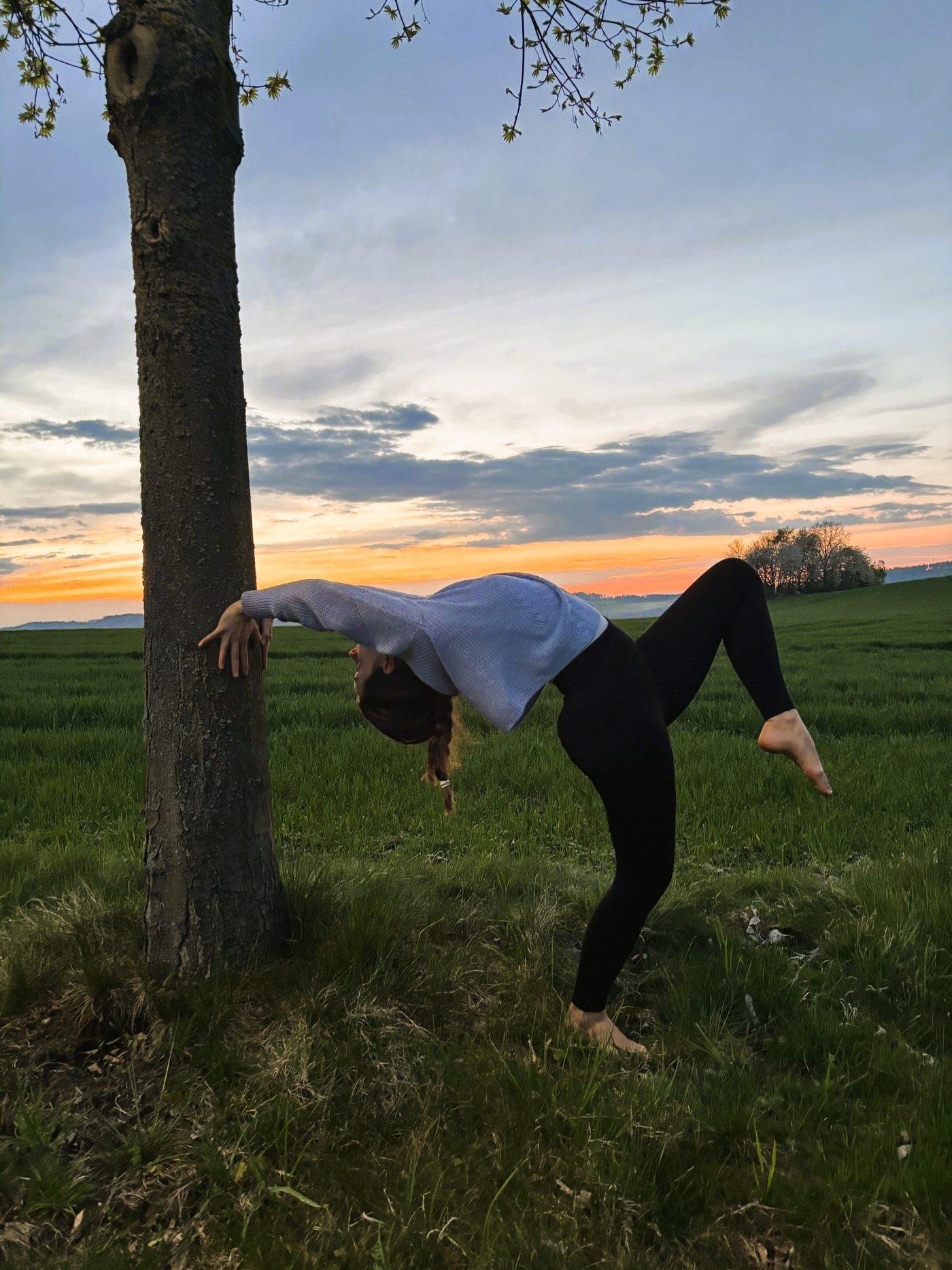 Person in einer Yoga-Bruecke an einem Baum bei Sonnenuntergang
